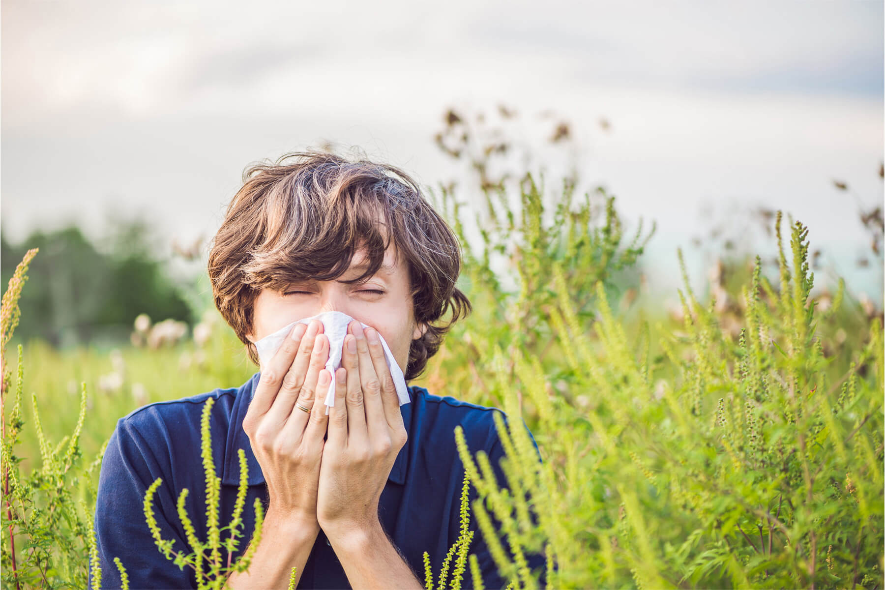 Allergy Certificate 